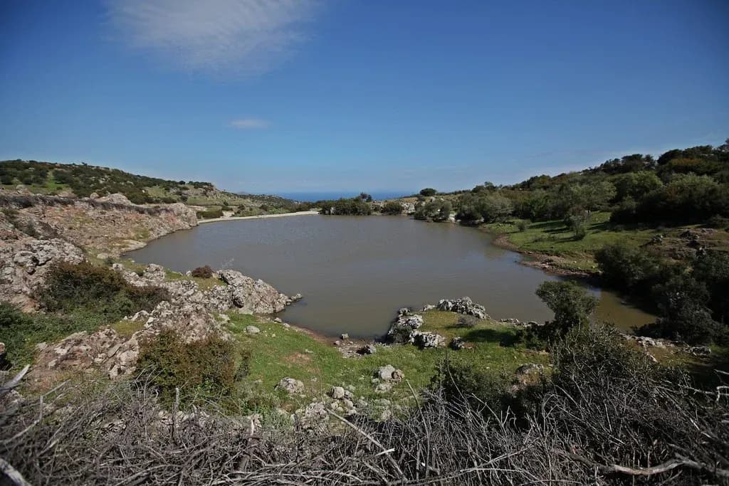 Pırnaldere