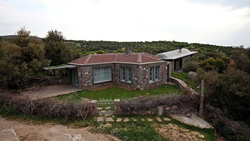 Damlarkayası
